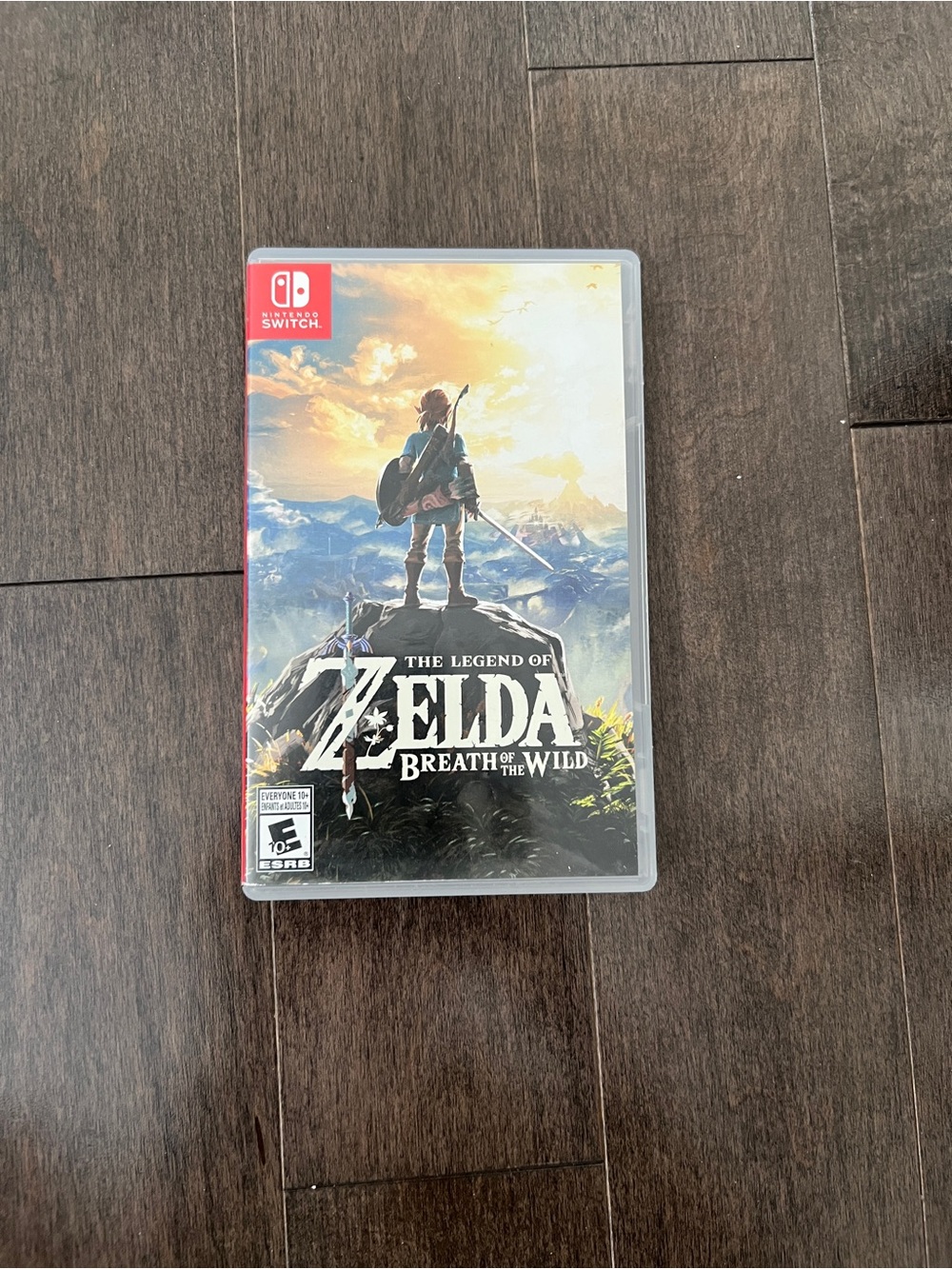 Nintendo Zelda Breath of the Wild for Nintendo Switch